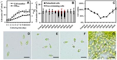 Salinity-Induced Palmella Formation Mechanism in Halotolerant Algae Dunaliella salina Revealed by Quantitative Proteomics and Phosphoproteomics